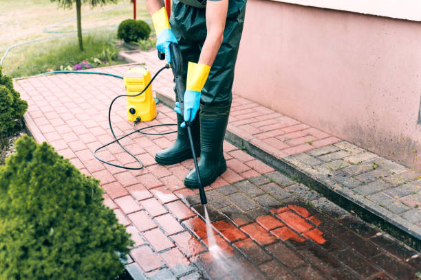Solar Panel Cleaning in Edgewater, NJ
