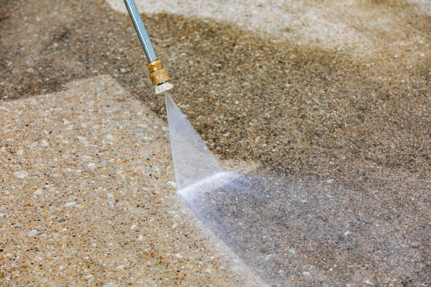Best Dumpster Area Cleaning  in Edgewater, NJ